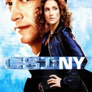 CSI: NY - the Complete Second Season [6 Discs] [DVD]